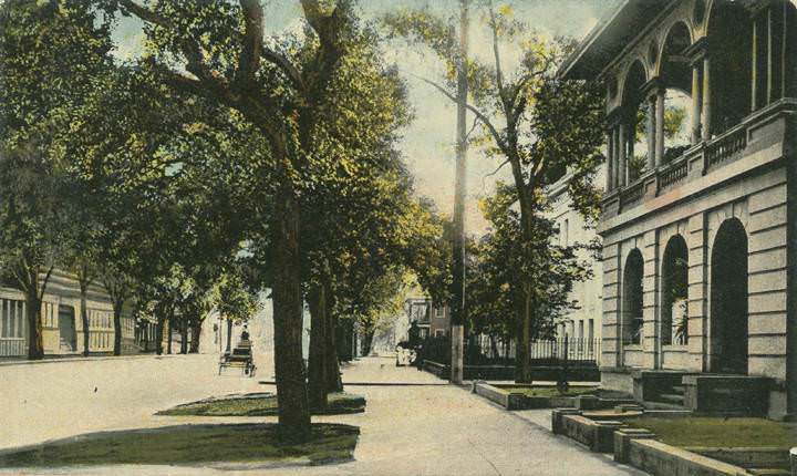 Government Street Scene, Mobile, 1904
