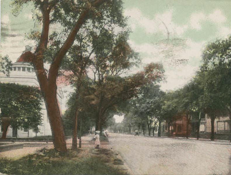 Government Street, Mobile, 1904