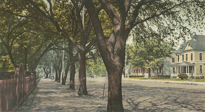 Government Street, Mobile, 1904