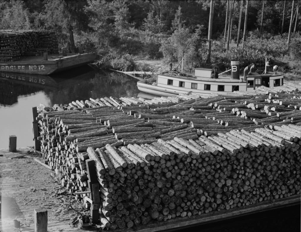 Pulp Wood Going Down The River Styx To Mobile By Inland Waterway Near Robertsdale.