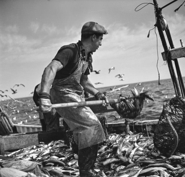 The Life of Provincetown, Massachusetts in the 1930s by Edwin Rosskam