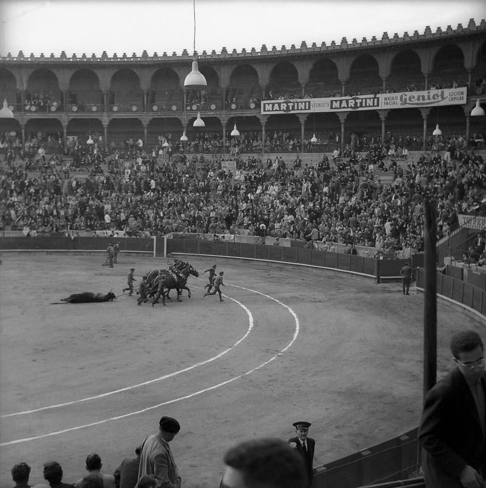 Bullfight in Barcelona Arena 1961.