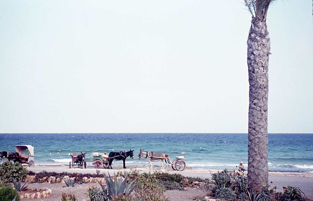 Mallorca, 1960