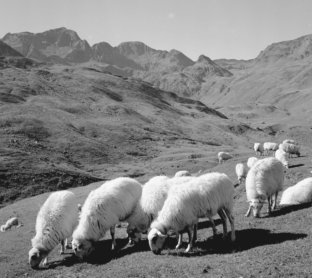 The Aragonese Pyrenees, Huesca, Spain, 1963.