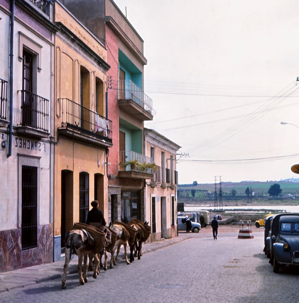 Woman with her donkeys, Merida, Spain, 1963.