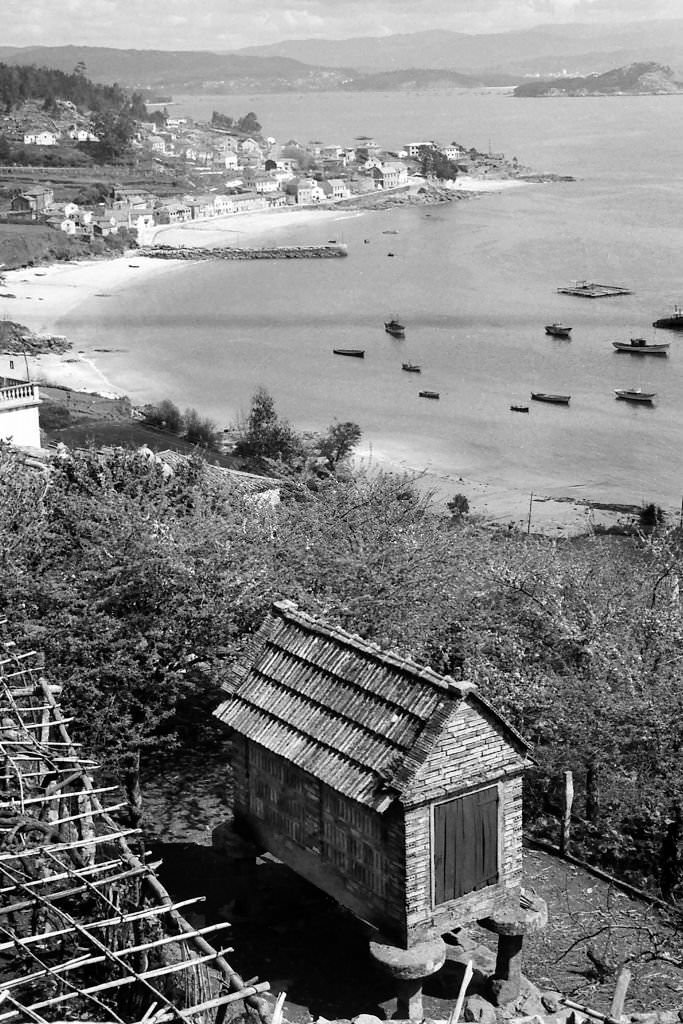 A “horreo”, construction for agricultural use intended to dry, cure and store corn and other cereals before shelling and grinding them, Tambo, Pontevedra, Galicia, Spain, 1963.