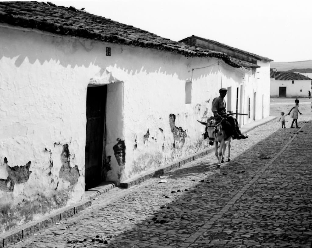 A farmer returns home trotting his donkey in the small town of Fuente de los Cantos, Badajoz, Extremadura, 1964.