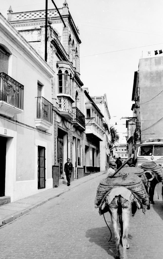 A peasant returns home trotting his donkey in the small town of Fuente de los Cantos, Badajoz, Extremadura, 1964.