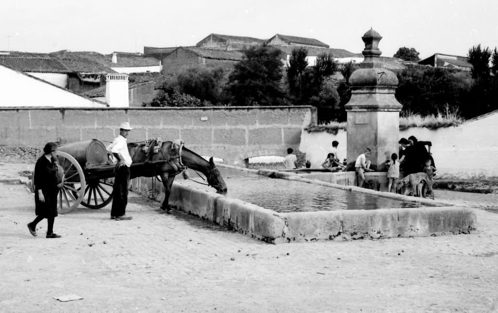 A horse drinks and some children play in the fountain in the small town of Fuente de los Cantos, Badajoz, Extremadura, 1964.