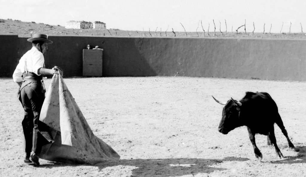 Spanish bullfighter Antonio Ordoñez with a bull in his farm “Valcargado”, Medina Sidonia, Cadiz, Spain, 1962.
