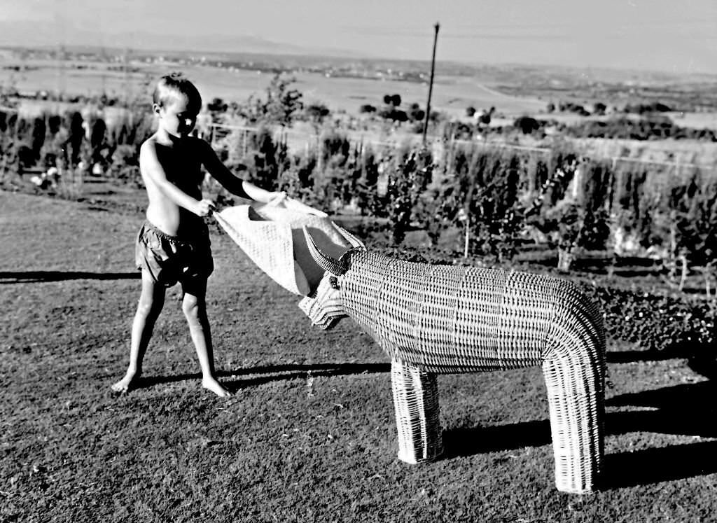 Miguel Bose, son of the Spanish bullfighter Luis Miguel Dominguin and the Italian actress Lucia Bose, playing with a bull of wick, Saelices, Cuenca, Spain, 1961.