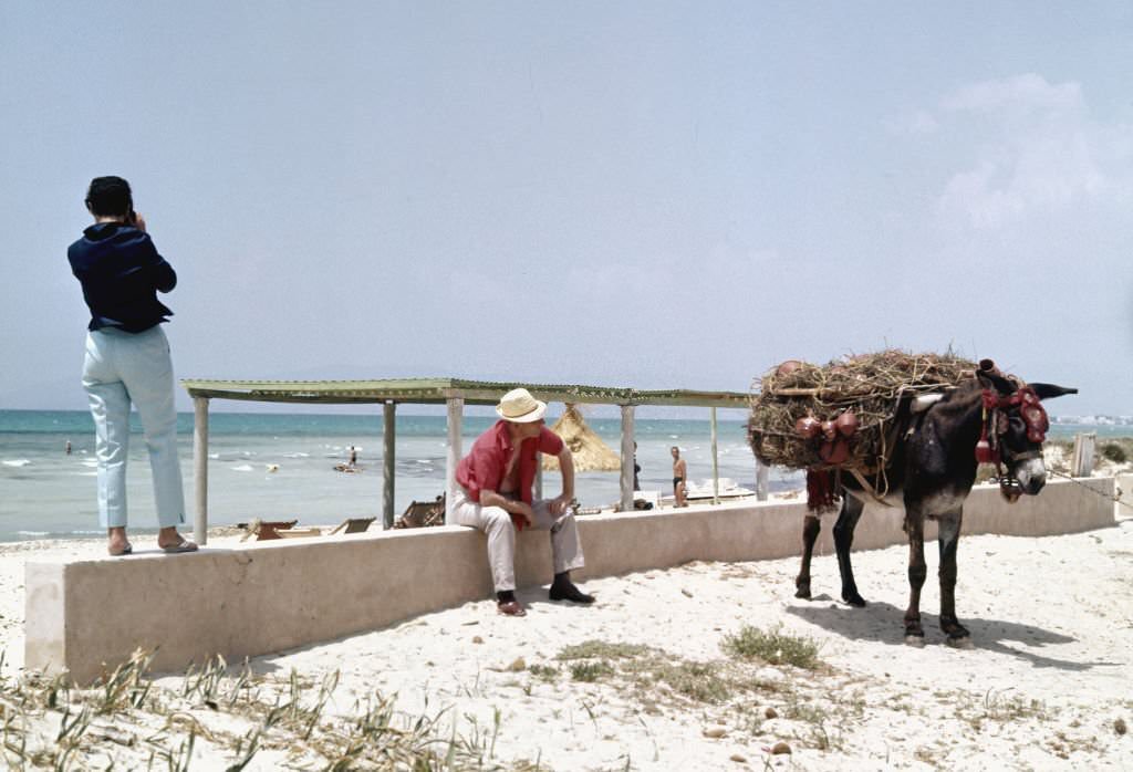 Street vendor with his donkey, 1960, Palma de Mallorca, Balearic Islands, Spain.