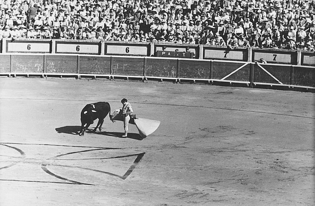 Bullfighter playing a bullfighting, Spain, 1960s