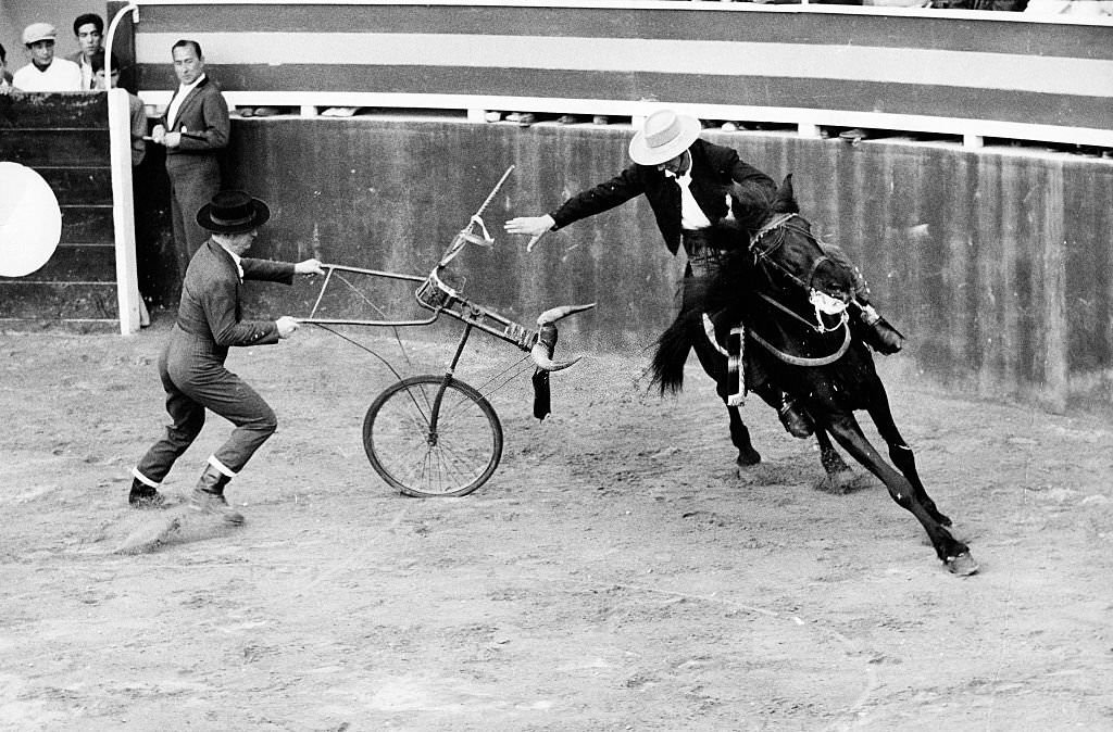 Spain Balearics Balearic Islands Mallorca Amateur-bullfight in Arenal on Mallorca