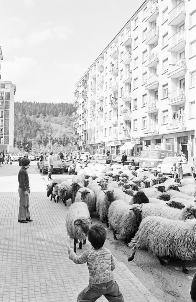 Life in Spain during the process of democratic transition, 1977