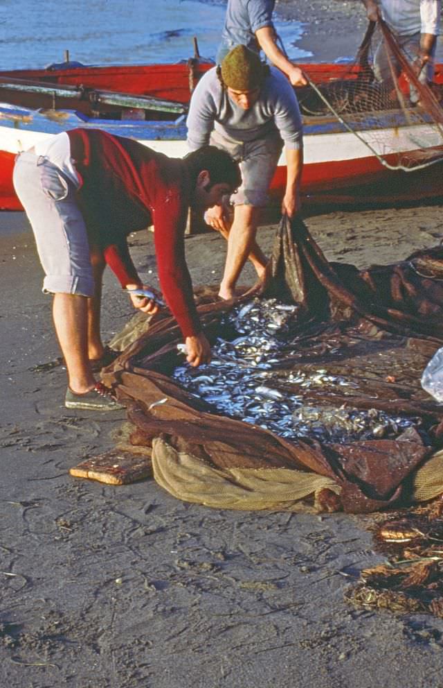 Fishermen inspect their catch on the beach, Almuñécar, 1977
