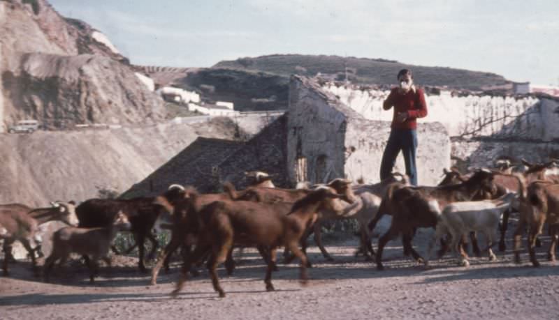 Goat herder waving, Costa del Sol, Playa Granada, Motril, Andalusia, 1977