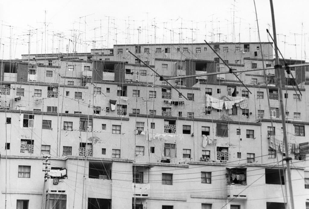 Television antennas on buildings in Las Palmas, in 1974.
