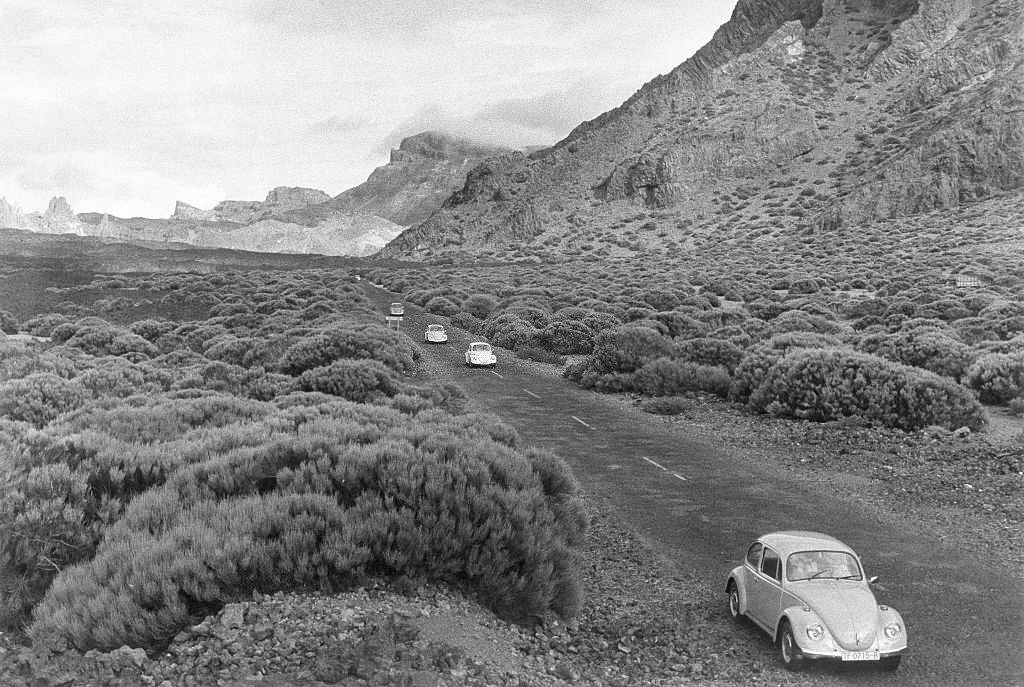Lava rock and gorse bushes in the Valle de Ucana below the 'Pico de Teide', 1973