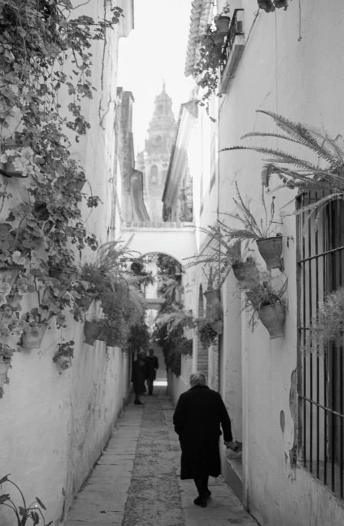 The "Street of the Flowers", Cordoba, 1975, Andalusia, Spain