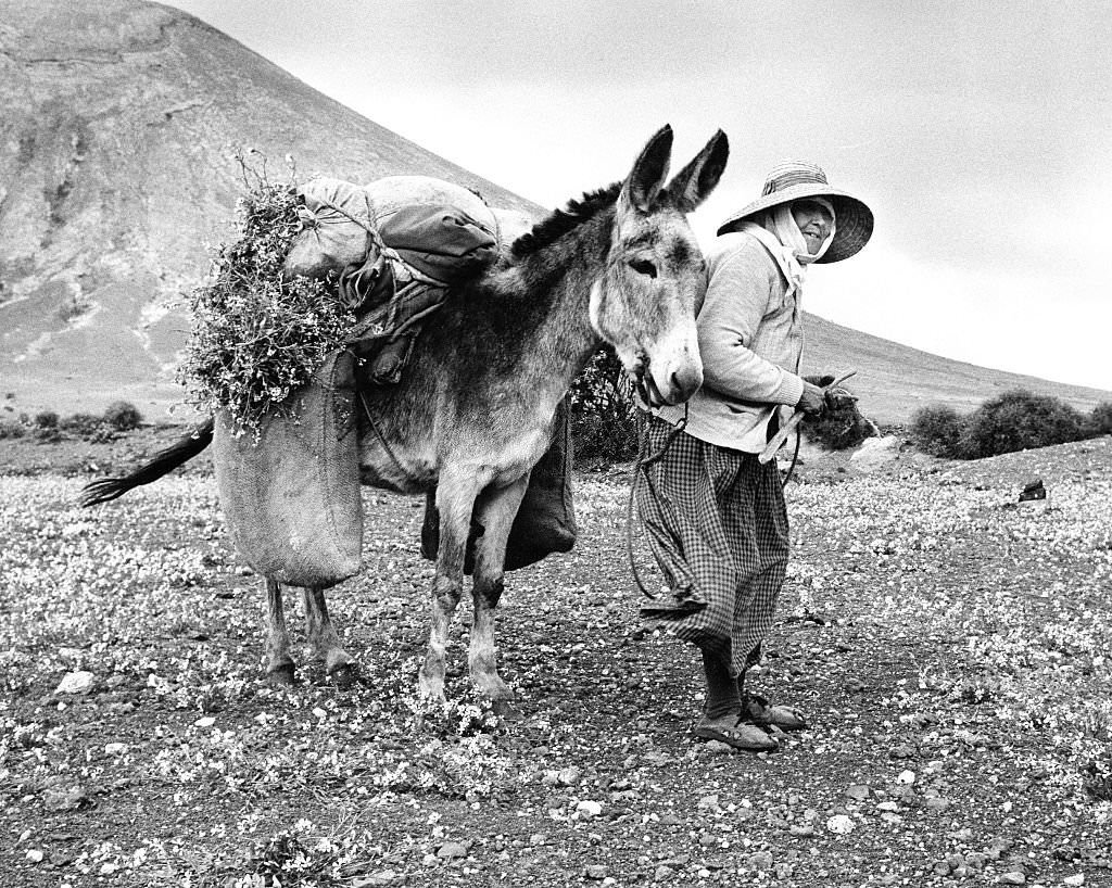 Old woman with her donkey at Lanzerote