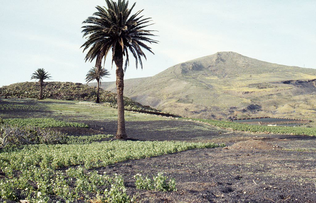 Lanzarote, 1980,