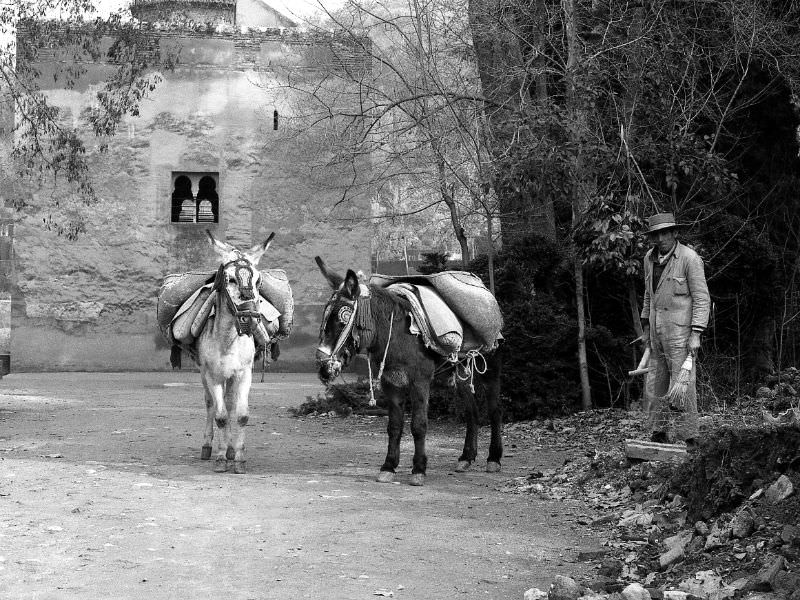 Granada, 1980s