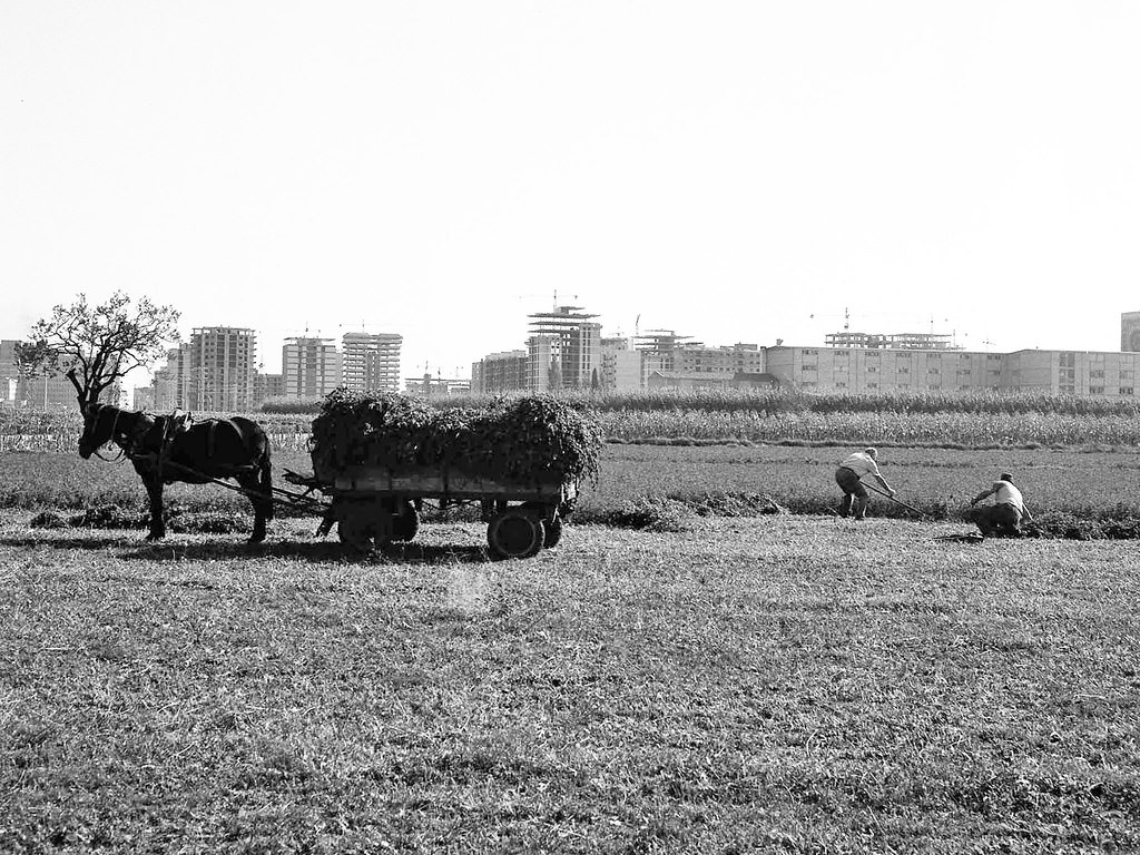 Agrarian Via Hispanidad, 1970