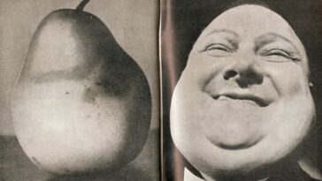Hilariously Creative Comparison Photos