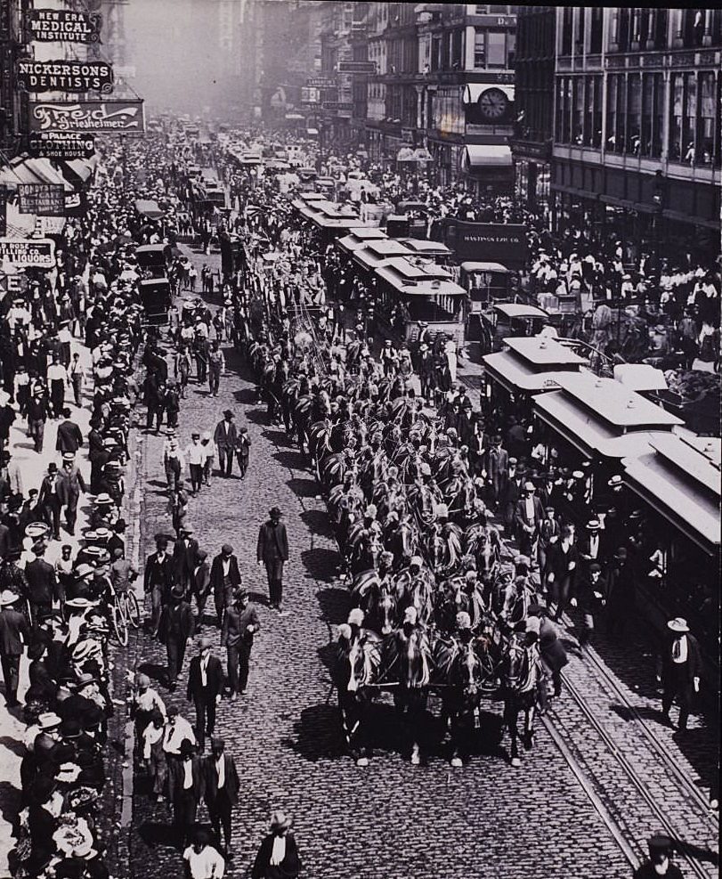 A forty horse team in the Barnum and Bailey Circus parade, in Chicago, 1904