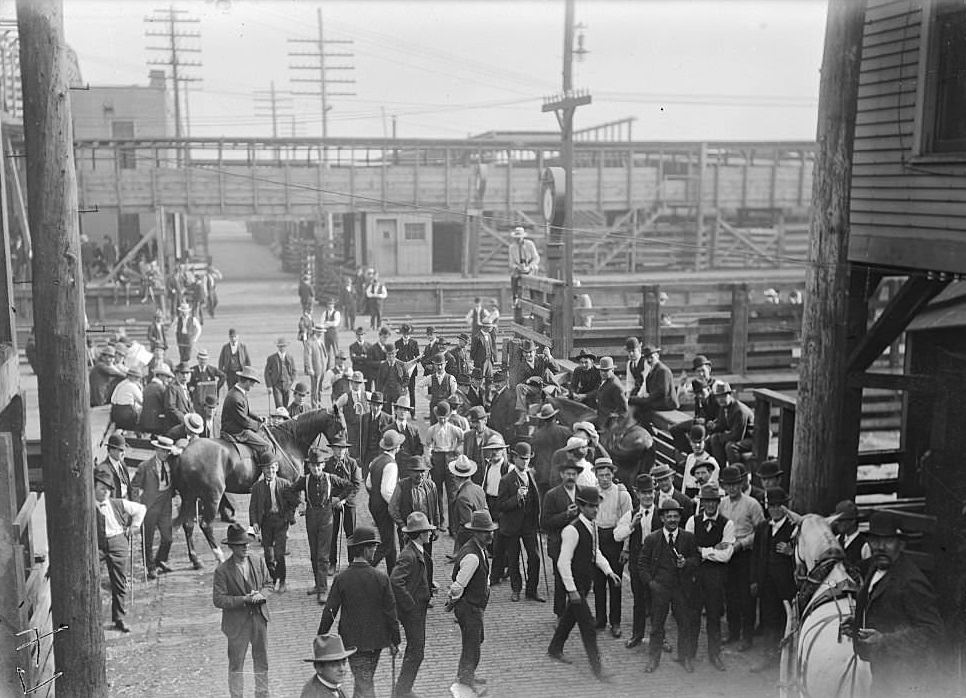 Stockmen in the stockyards during the stockyards strike, Chicago, Illinois, 1904.