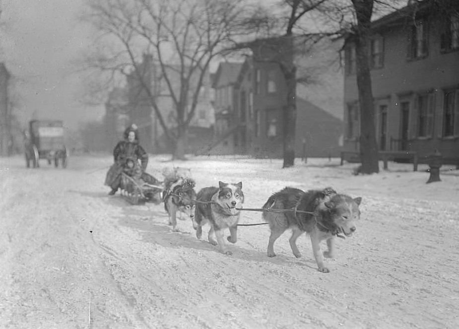 Huskies pulling a sled with an adult and a child riding along a snow-covered residential street, Chicago, 1904.