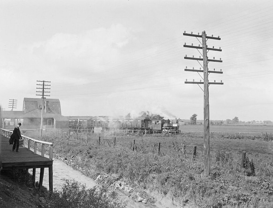 View of a suburban train, Chicago, Illinois, 1905