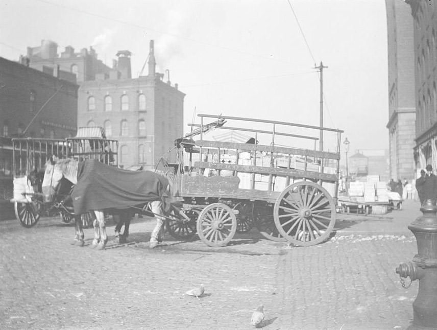 Horse-drawn wagon, Chicago, Illinois, 1905