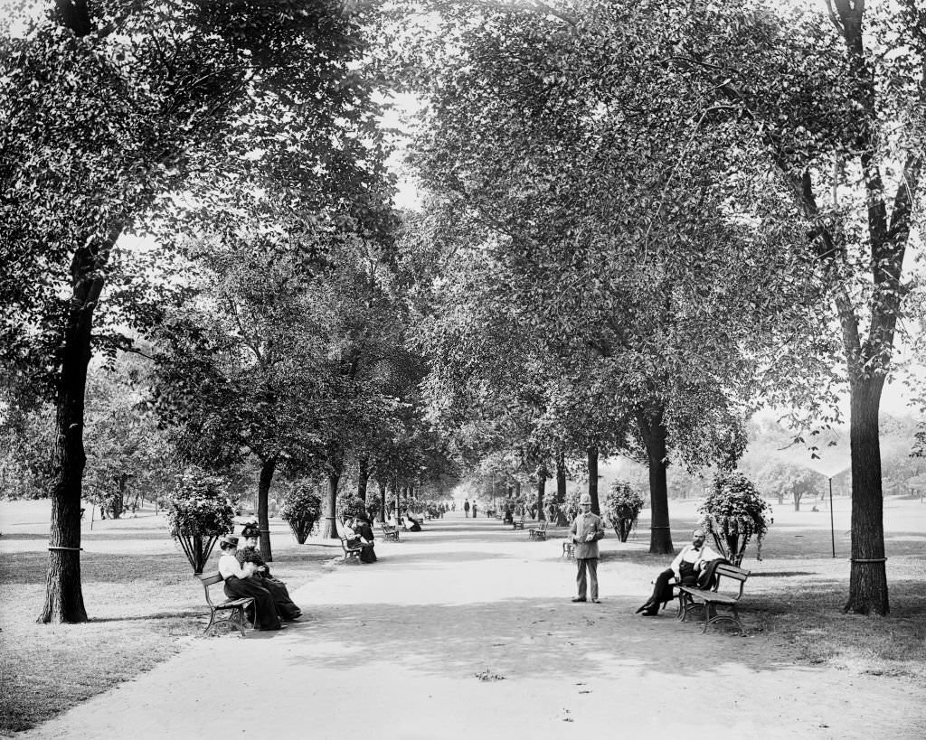 Shaded Path, Lincoln Park, Chicago, 1900.