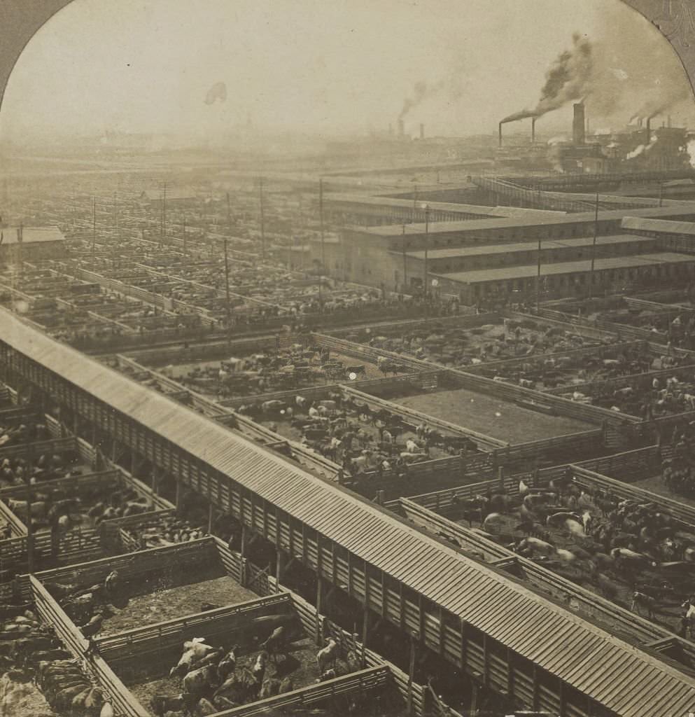 Bird's Eye View of the Great Union Stock yards. Chicago, 1900