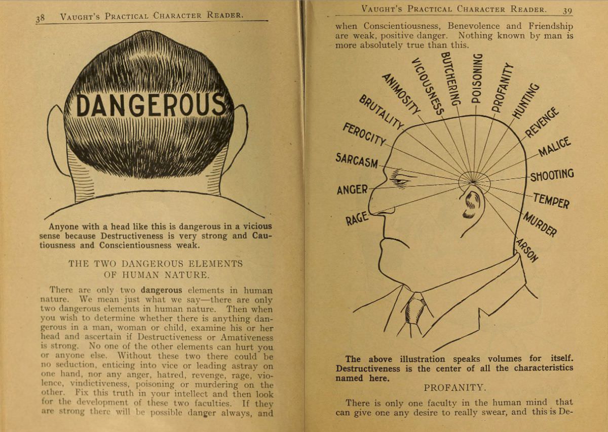 1902 Phrenology Book that determined a person's Personality based on the shape of his Head and other Facial Features