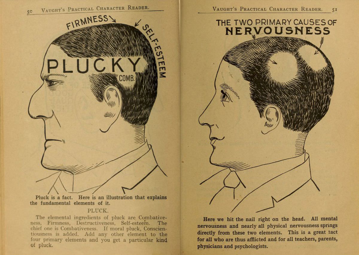 1902 Phrenology Book that determined a person's Personality based on the shape of his Head and other Facial Features