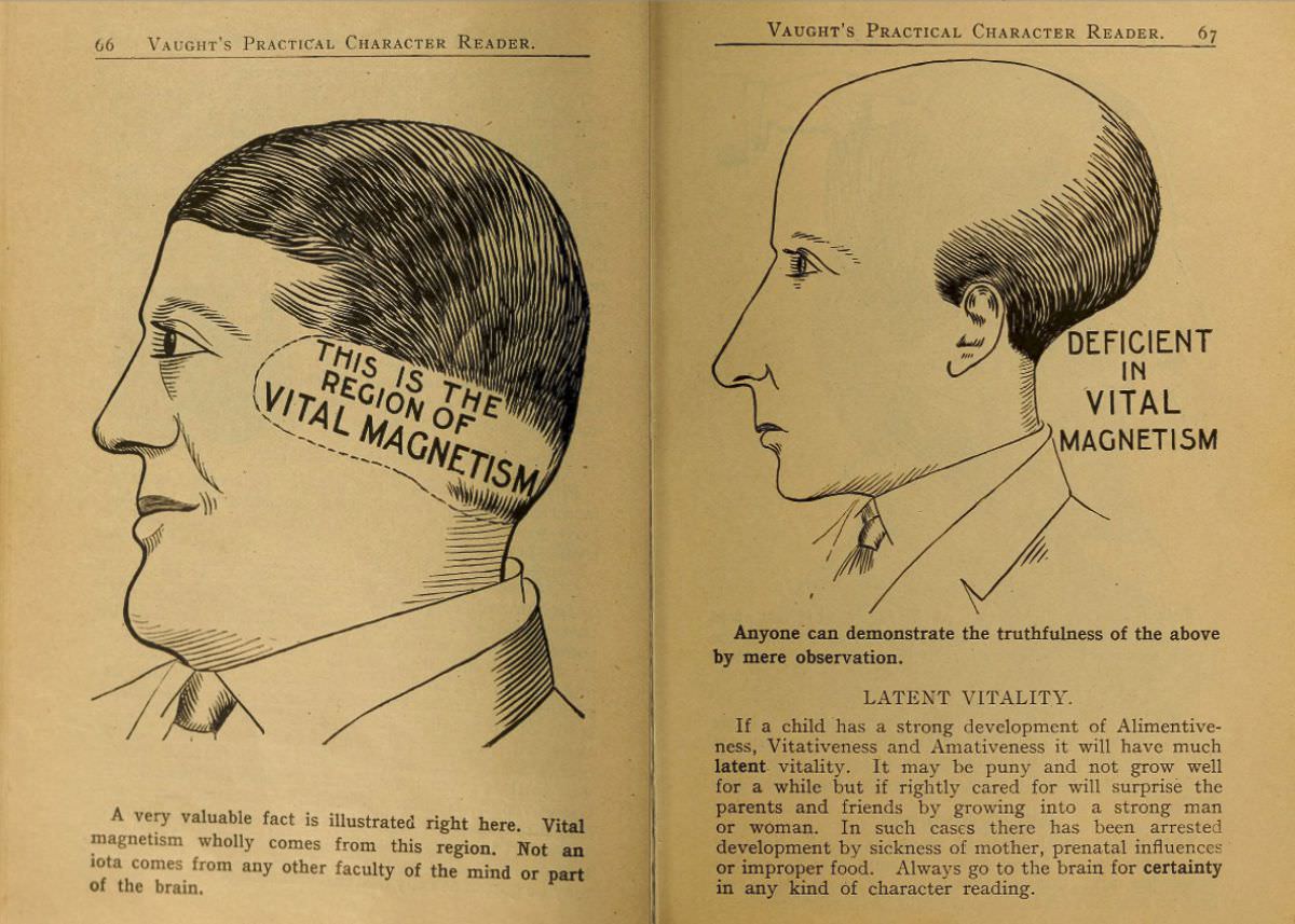 1902 Phrenology Book that determined a person's Personality based on the shape of his Head and other Facial Features