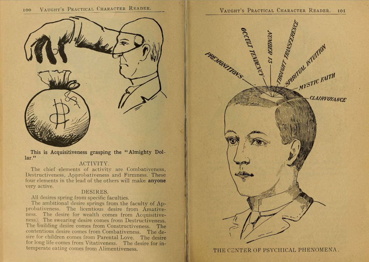 1902 Phrenology Book that determined a person's Personality based on the shape of his Head and other Facial Features