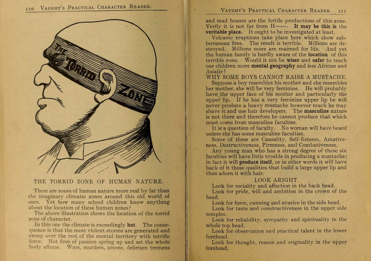 1902 Phrenology Book that determined a person's Personality based on the shape of his Head and other Facial Features