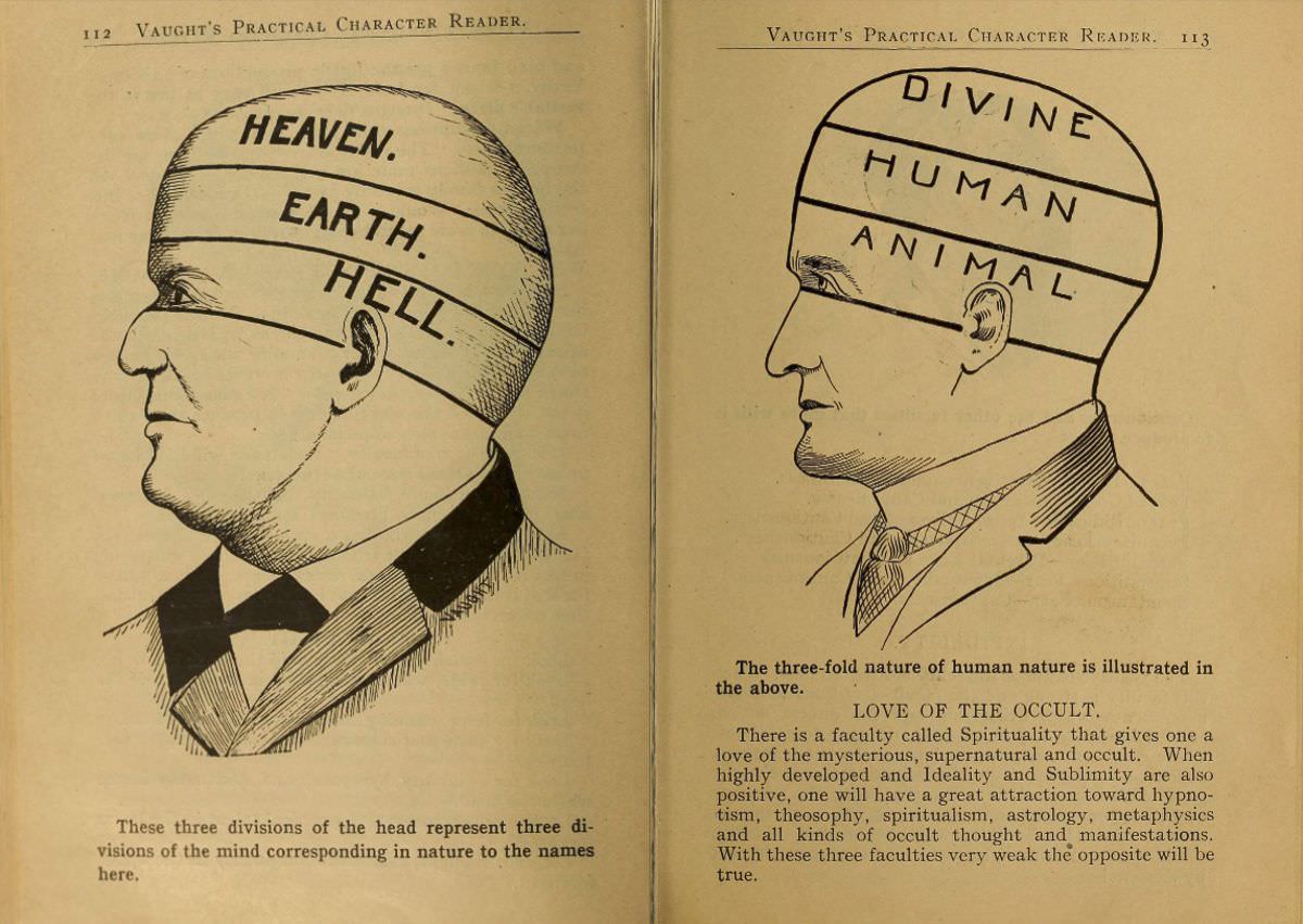 1902 Phrenology Book that determined a person's Personality based on the shape of his Head and other Facial Features