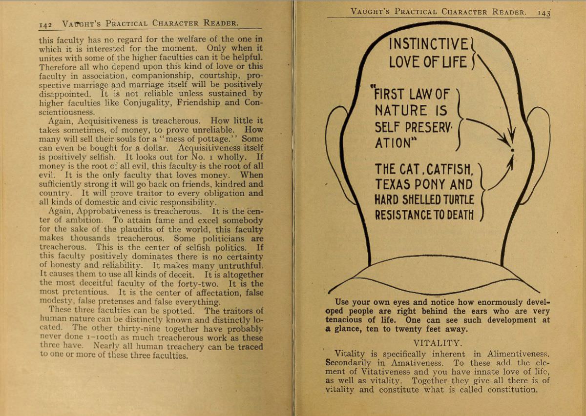 1902 Phrenology Book that determined a person's Personality based on the shape of his Head and other Facial Features