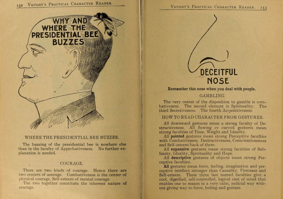 1902 Phrenology Book that determined a person's Personality based on the shape of his Head and other Facial Features