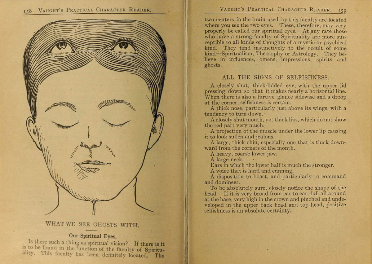 1902 Phrenology Book that determined a person's Personality based on the shape of his Head and other Facial Features