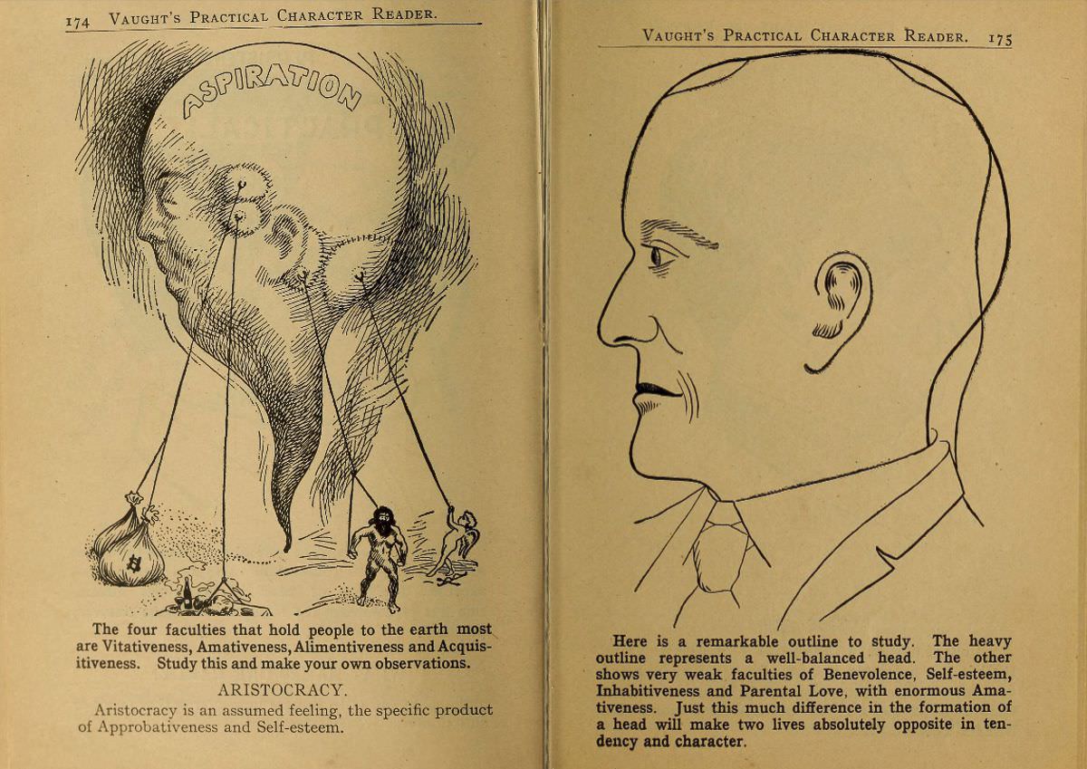 1902 Phrenology Book that determined a person's Personality based on the shape of his Head and other Facial Features