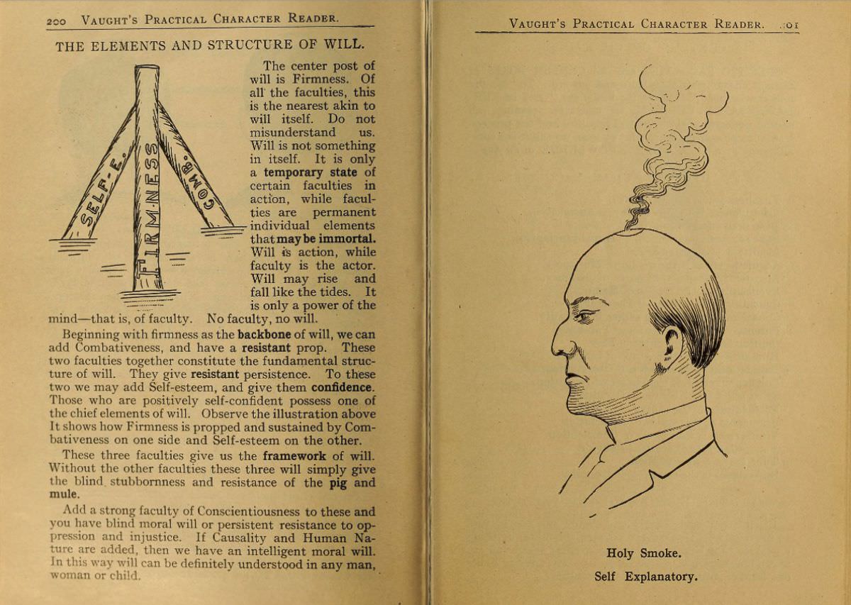 1902 Phrenology Book that determined a person's Personality based on the shape of his Head and other Facial Features