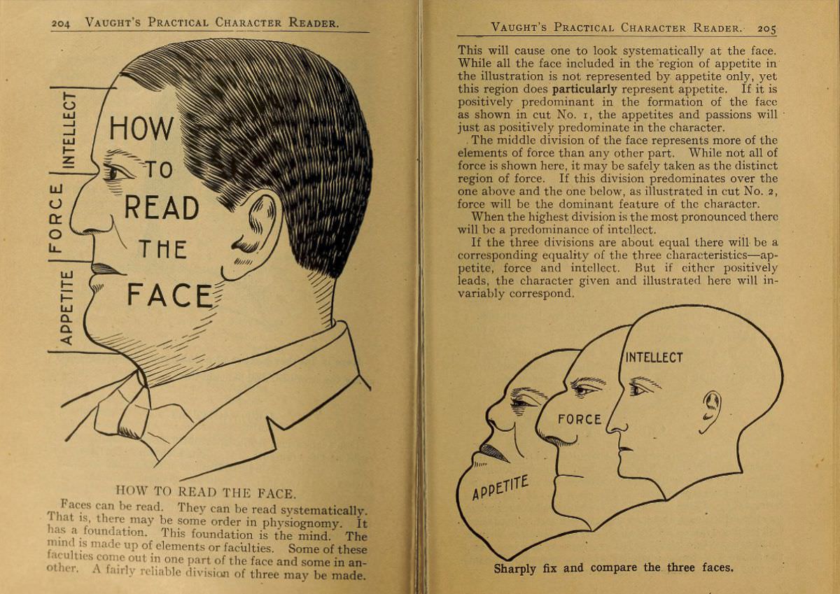 1902 Phrenology Book that determined a person's Personality based on the shape of his Head and other Facial Features