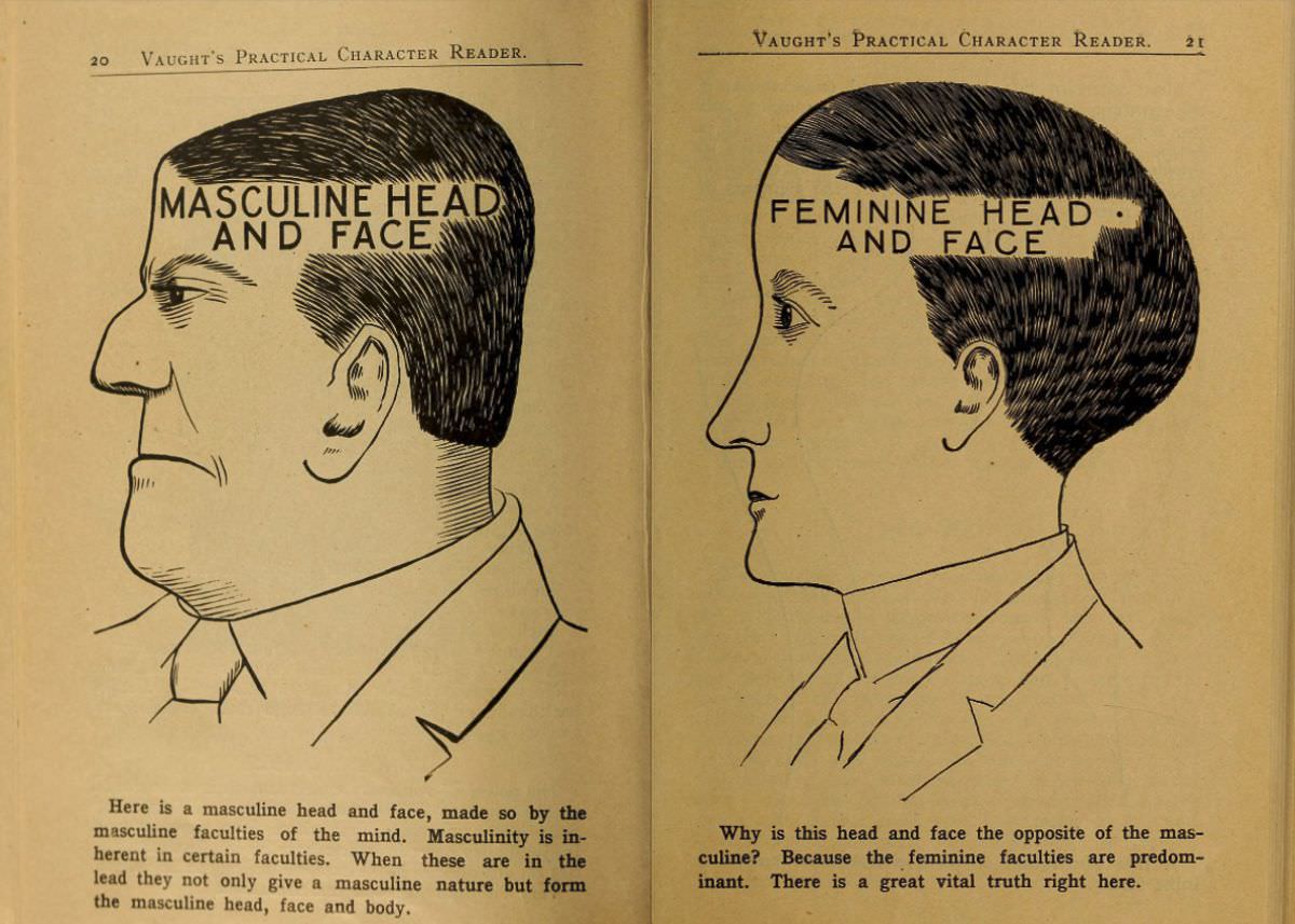 1902 Phrenology Book that determined a person's Personality based on the shape of his Head and other Facial Features