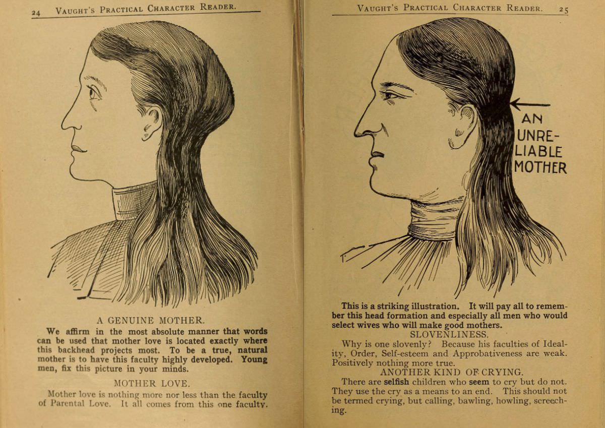 1902 Phrenology Book that determined a person's Personality based on the shape of his Head and other Facial Features